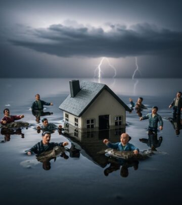 related-article-image