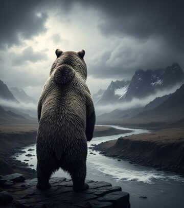 related-article-image