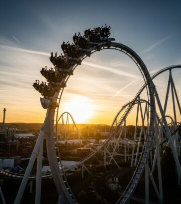 related-article-image