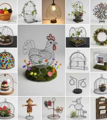 related-article-image related-article-image
