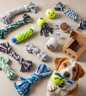 related-article-image