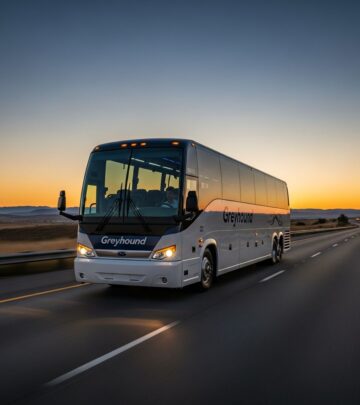 related-article-image