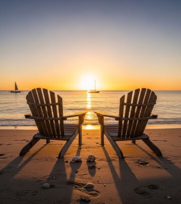 related-article-image