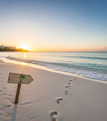 related-article-image