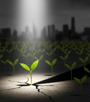 related-article-image