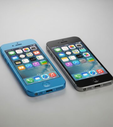 related-article-image