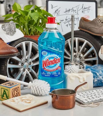 related-article-image